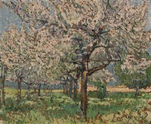 Les Arbres En Fleurs
