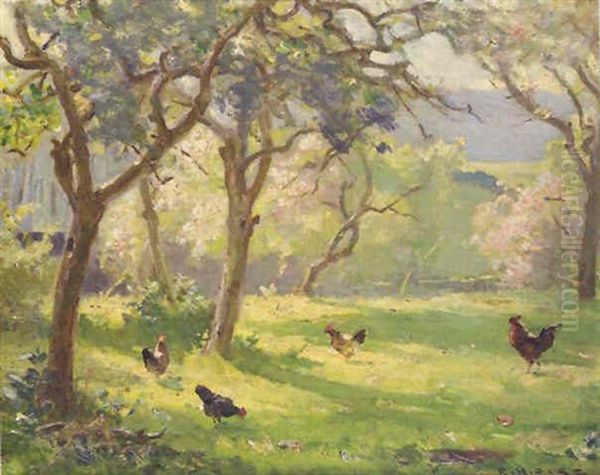 Chickens In A Wooded Glade - view 1
