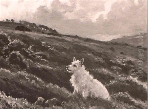 The West Highland Terrier, `cappie' - view 1