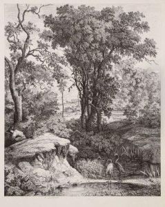 Paysage Avec Troisflamants Au Bord D'unemare