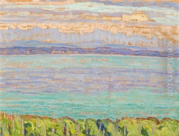 Auvernier - view 1