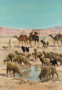 Moutons Dans L'oued Moutons Dans L'oued