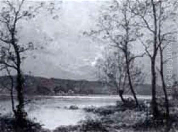 Abendliche Teichlandschaft - view 1