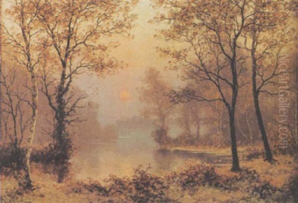 Herbstliche Waldpartie Am Abend - view 1