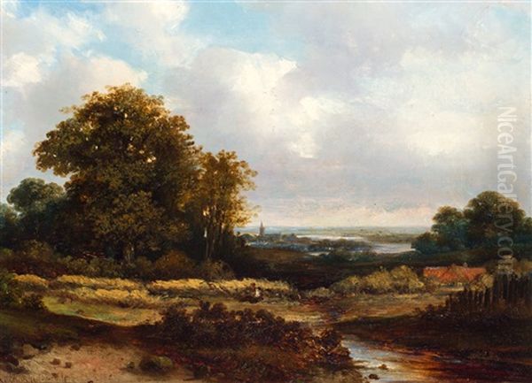 Weids Landschap, In De Verte Een Rivier - view 1