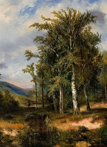 Sommerliche Waldlandschaft Mit Holzleserin - view 1