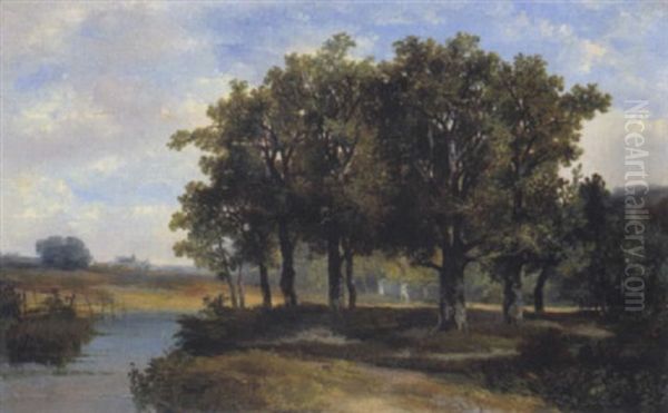 Landschaft Und Eichenwald Am Altwasser - view 1