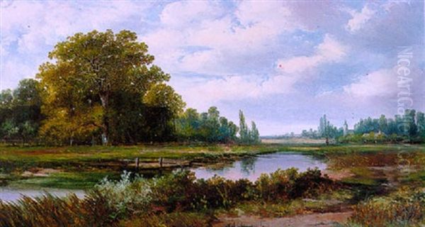 Boomrijk Landschap Met Rivier - view 1