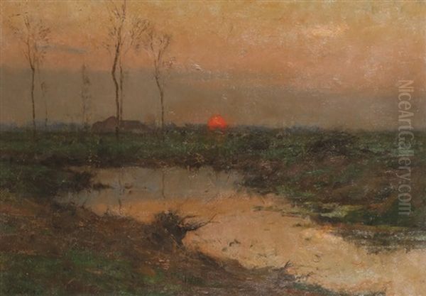 Paysage En Campine Au Coucher De Soleil - view 1