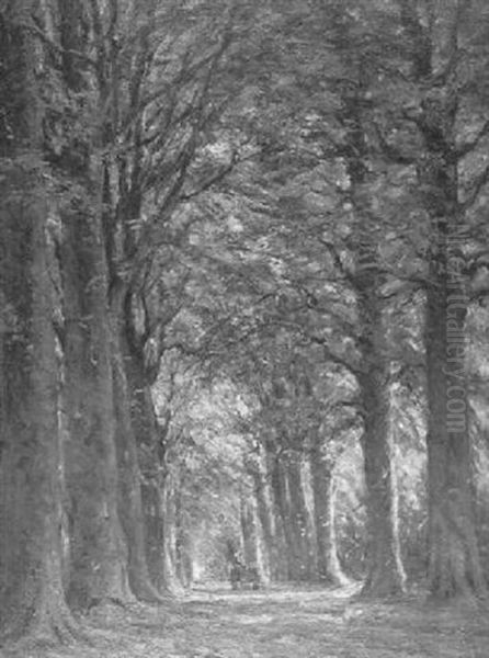 Herbstliche Allee Mit Einspanner - view 1