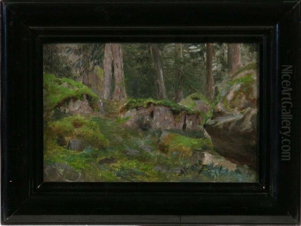 Skogsmotiv - view 1