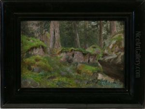 Skogsmotiv