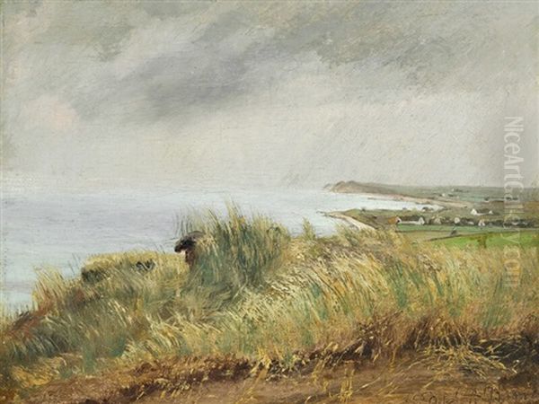 View From Spodsbjerg Over The Fjord - view 1