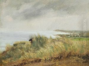 View From Spodsbjerg Over The Fjord View From Spodsbjerg Over The Fjord