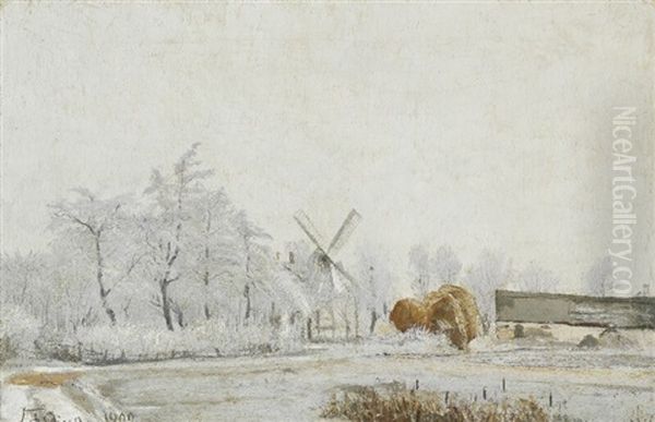 Quiet Winter Day With Frosty Mist - view 1