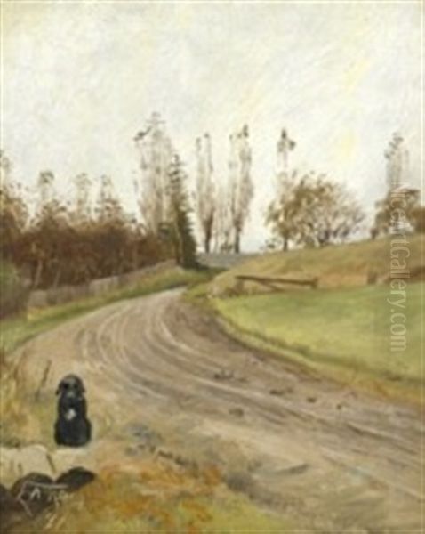 Dog Sitting By The Road - view 1