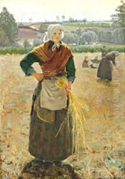 A Woman Gathering Ears Of Corn - view 1
