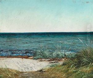 Sommerdag Ved Greve Strand. Solskin. Blaa Himmel Og Blaat Vand