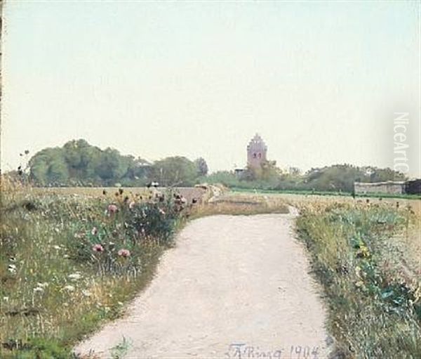 Solbeskinnet Vej Til Kirken I Taastrup. Sommer - view 1