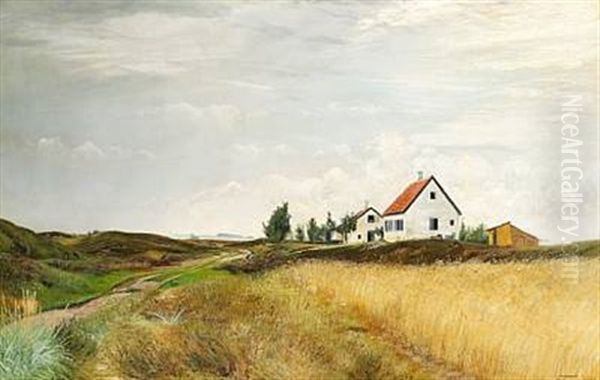 Lyngbakker Greve Strand. Bakkerne Tilvenstre; Mark Med Modent Korn Tilhojre. I Midten Et Hojt Hvidt Hus Med Rodt Tag. Optraekkende Morke Skyer Fra Baggrunden - view 1