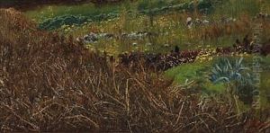 A Roadside
