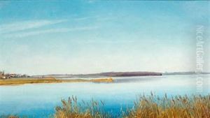 Foraarsdag Ved Karrebaeksminde. Gule Siv I Forgrunden. Blaa Himmel Over Lyst, Blaat, Stille Vand. Tilvenstre Skimtes Lidt Af Karrebaek By Foraarsdag Ved Karrebaeksminde. Gule Siv I Forgrunden. Blaa Himmel Over Lyst, Blaat, Stille Vand. Tilvenstre Skimtes Lidt Af Karrebaek By