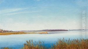 Sommer An Einem Nordischen See