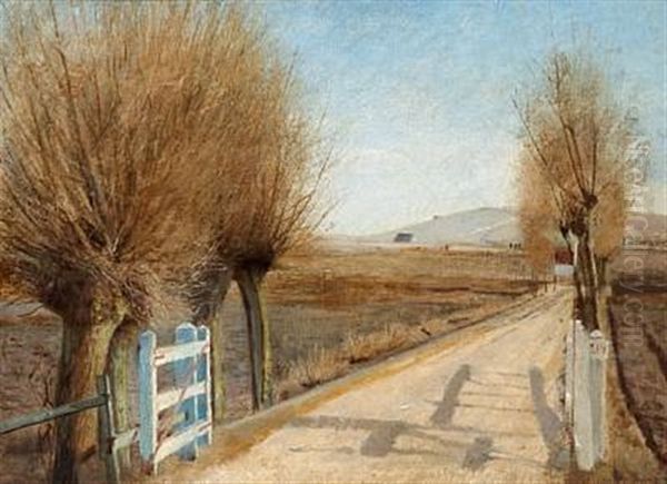 Sunshine On A Road In Early Spring - view 1