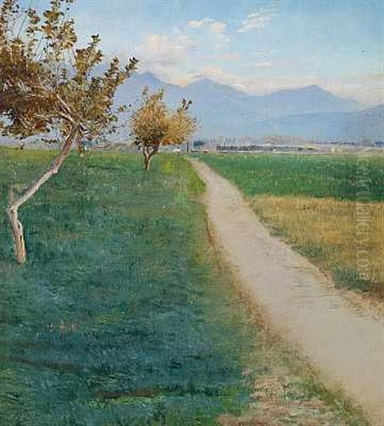 Landskab Med En Gangsti. Pompei - view 1
