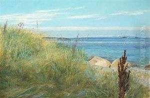 Strandmotiv Med Marehalm