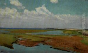 Sommerlandskab, Karrebaeksminde Sommerlandskab, Karrebaeksminde