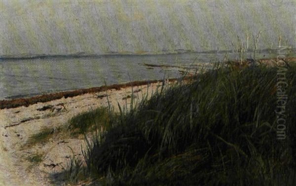 Strandparti Med Lyseblat Hav Og Marehalm - view 1