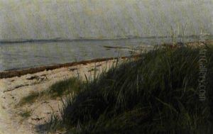 Strandparti Med Lyseblat Hav Og Marehalm Strandparti Med Lyseblat Hav Og Marehalm