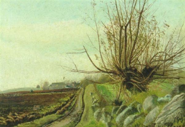 Efterarslandskab - view 1