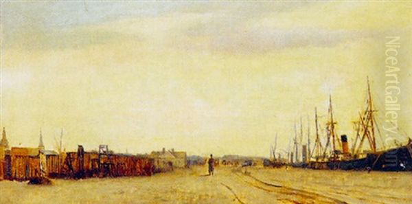 Parti Fra Gasvaerkshavnen - view 1