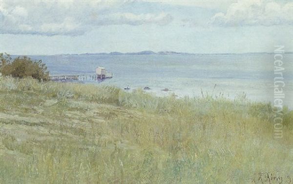 Parti Fra Hellebaek Med Udsigt Mod Kullen - view 1