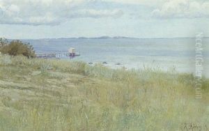 Parti Fra Hellebaek Med Udsigt Mod Kullen