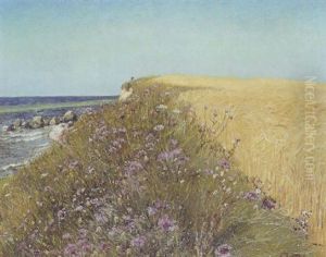 Sommerlandskab. I Forgrunden Skraent Med Mange Vilde Blomster Sommerlandskab. I Forgrunden Skraent Med Mange Vilde Blomster