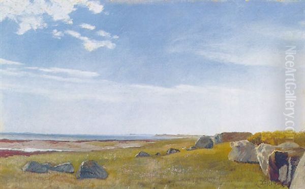 Kystparti - view 1