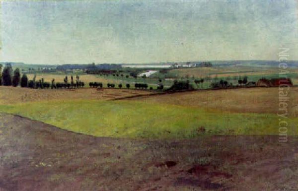 Summer Meadows - view 1