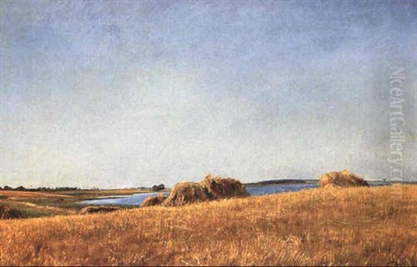 Sommerlandskab - view 1
