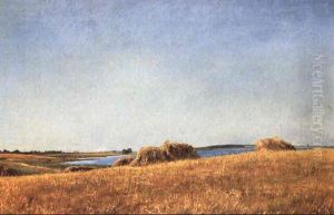 Sommerlandskab