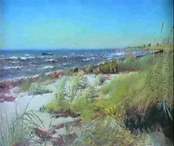Klar Sommerdag Ved Greve Strand - view 1