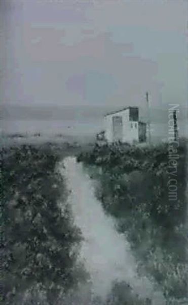 Lyngparti Ved Greve Strand - view 1