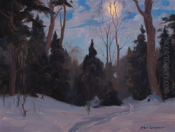 Laurentians, Forest In Winter - view 1
