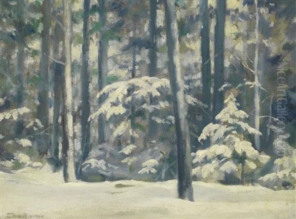 Snow Laden - view 1