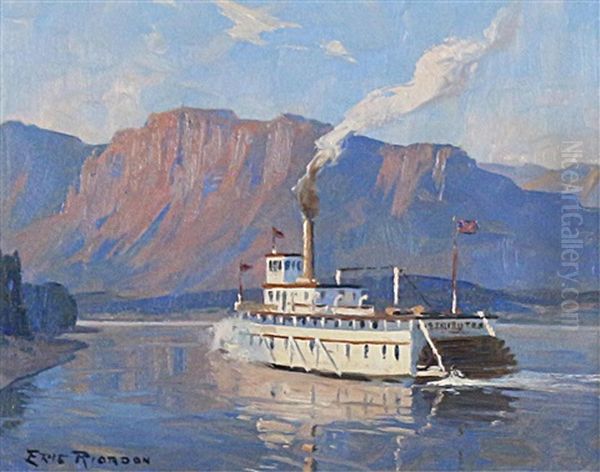 Paddle Steamer - view 1