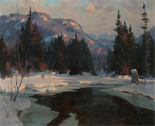 December Evening, Cache River - view 1