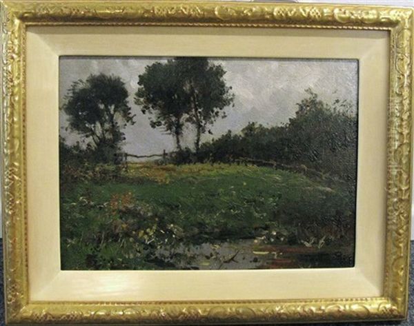 Sommerliche Landschaft Mit Baumen - view 1