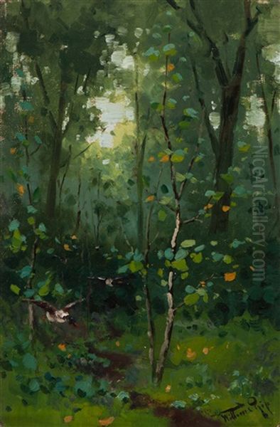 Ducks In A Wooded Landscape - view 1
